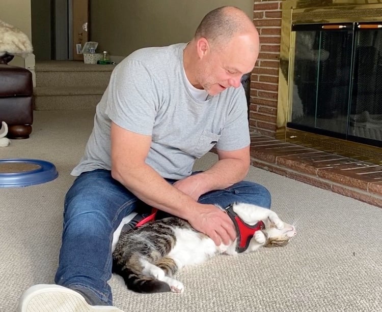 Taking Your Cat for a Walk How I Leash Trained My Cat